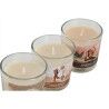Candela Profumata Home ESPRIT Città 60 g (3 Unità)