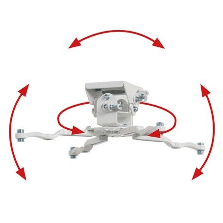 Supporto da Tavolo per Schermo B-Tech BT899/W