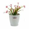 Vaso Stefanplast Bianco Plastica 19 x 17,5 x 19 cm (12 Unità)